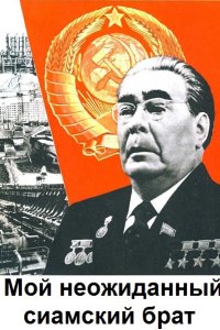 Обложка к Логинов Анатолий. Мой неожиданный сиамский брат