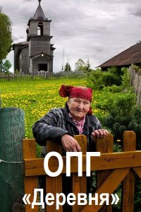 Обложка к Alchy. Сборник книг